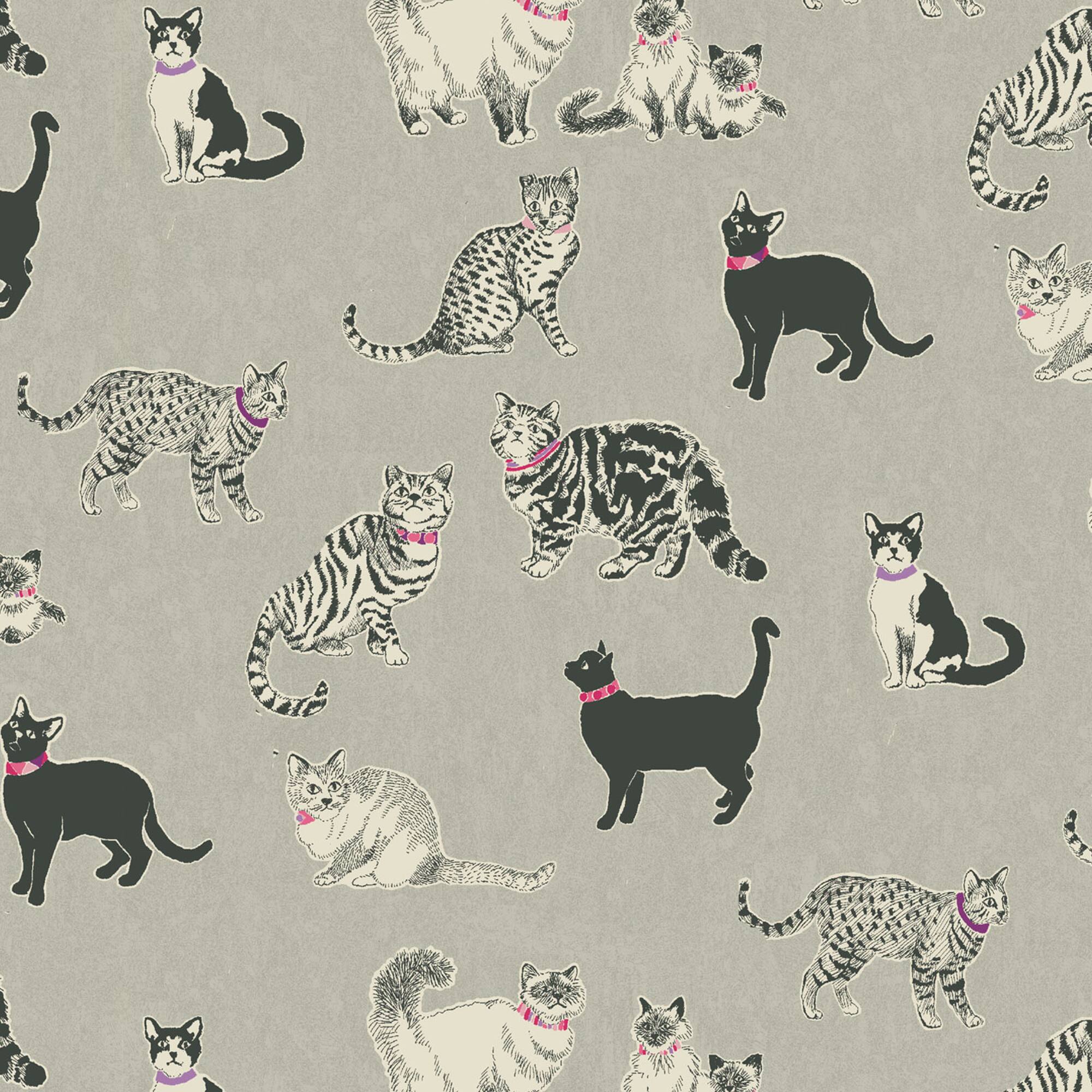 Pkl Studio Charcoal Pretty Kitty Cotton Home Décor Fabric